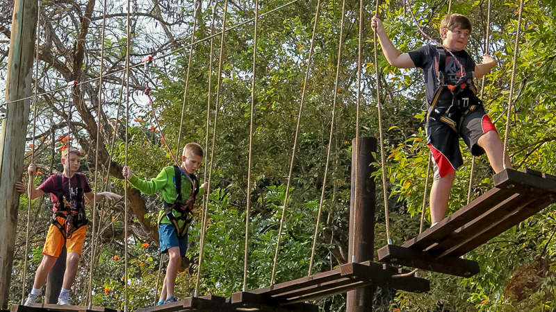 Activities Gecko Lodge - Tree Top Adventure